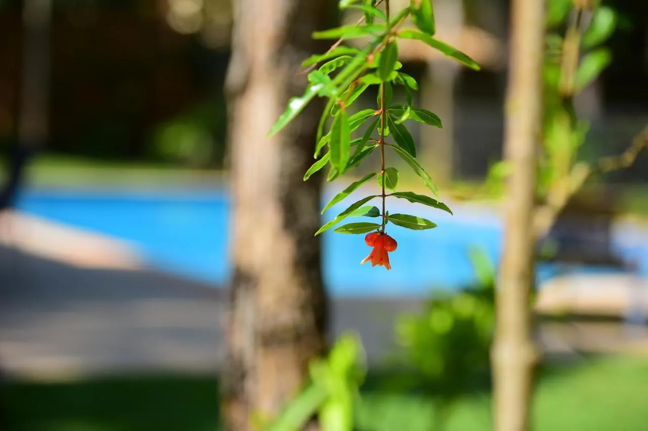 Alojamento de Acomodação e Pequeno-almoço Quintas Do Arraial Guest House Porto Seguro Brasil