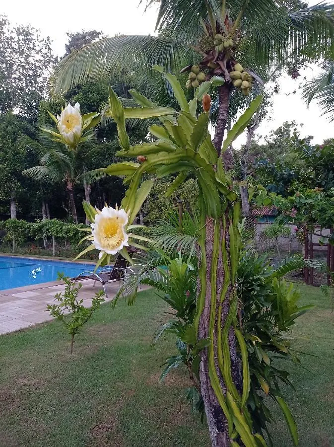 Quintas Do Arraial Guest House Porto Seguro Alojamento de Acomodação e Pequeno-almoço