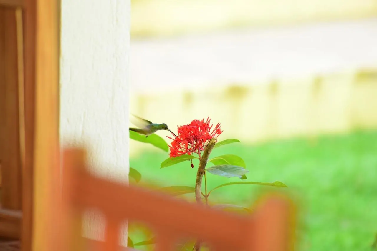 Quintas Do Arraial Guest House Porto Seguro